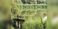 Sologne nature